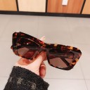 Lunettes de soleil pour femmes E1404 7