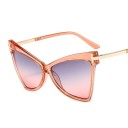 Lunettes de soleil pour femmes E1431 5