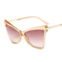 Lunettes de soleil pour femmes E1431 7