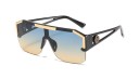 Lunettes de soleil pour femmes E1445 8