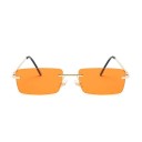 Lunettes de soleil pour femmes E1450 9