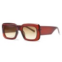Lunettes de soleil pour femmes E1457 9