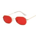 Lunettes de soleil pour femmes E1459 7