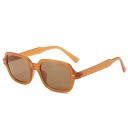 Lunettes de soleil pour femmes E1475 9