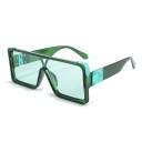 Lunettes de soleil pour femmes E1490 7