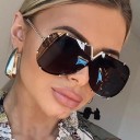 Lunettes de soleil pour femmes E1491 1