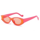 Lunettes de soleil pour femmes E1501 5