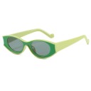 Lunettes de soleil pour femmes E1501 8