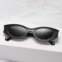 Lunettes de soleil pour femmes E1501 4