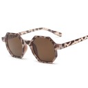 Lunettes de soleil pour femmes E1509 3