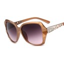 Lunettes de soleil pour femmes E1519 8