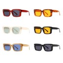 Lunettes de soleil pour femmes E1522 2