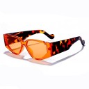 Lunettes de soleil pour femmes E1538 4