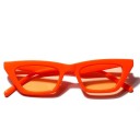 Lunettes de soleil pour femmes E1550 4