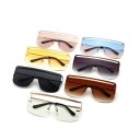 Lunettes de soleil pour femmes E1554 2