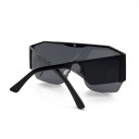 Lunettes de soleil pour femmes E1580 2
