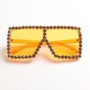 Lunettes de soleil pour femmes E1585 9