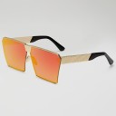 Lunettes de soleil pour femmes E1587 13