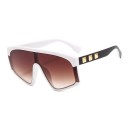 Lunettes de soleil pour femmes E1597 11