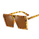 Lunettes de soleil pour femmes E1599 4