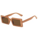 Lunettes de soleil pour femmes E1603 11