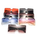 Lunettes de soleil pour femmes E1624 2