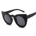 Lunettes de soleil pour femmes E1629 8
