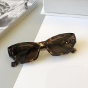 Lunettes de soleil pour femmes E1667 7