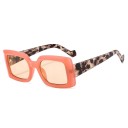 Lunettes de soleil pour femmes E1681 9