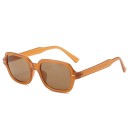 Lunettes de soleil pour femmes E1685 8