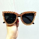 Lunettes de soleil pour femmes E1692 5