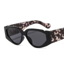 Lunettes de soleil pour femmes E1716 4
