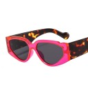Lunettes de soleil pour femmes E1716 8