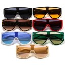 Lunettes de soleil pour femmes E1738 1