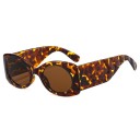 Lunettes de soleil pour femmes E1756 8