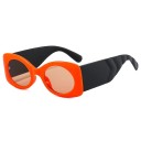 Lunettes de soleil pour femmes E1756 9