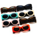 Lunettes de soleil pour femmes E1756 1