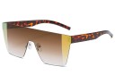 Lunettes de soleil pour femmes E1762 8