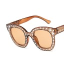 Lunettes de soleil pour femmes E1768 7
