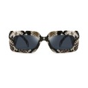 Lunettes de soleil pour femmes E1796 1