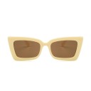 Lunettes de soleil pour femmes E1797 8