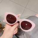Lunettes de soleil pour femmes E1814 6