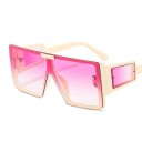 Lunettes de soleil pour femmes E1819 8