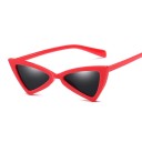 Lunettes de soleil pour femmes E1820 2