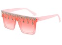 Lunettes de soleil pour femmes E1822 8