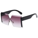 Lunettes de soleil pour femmes E1841 9