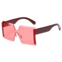 Lunettes de soleil pour femmes E1841 10