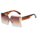 Lunettes de soleil pour femmes E1841 11