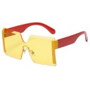 Lunettes de soleil pour femmes E1841 12