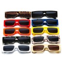 Lunettes de soleil pour femmes E1849 1